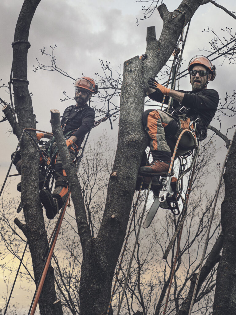 Baumpflege Team Saarland Über Uns
